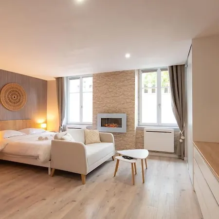 Apartment La Parenthese - Pres De La Petite France Strasbourg